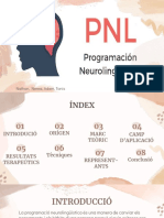 PNL PDF