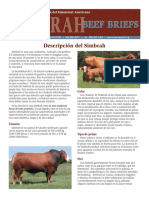 DescriptionSimbrah Spanish PDF