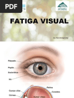 Ejercicios de Pausas Visuales Efectivas | PDF | Ojo | Percepción visual