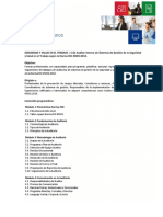 Ficha S-02 Auditor ISO 45001