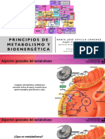 Bioenergética y Enzimas - MJSS PDF