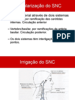 Anatomia 3 Vascularização 2020