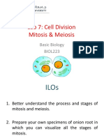 BIOL223-Lab 7