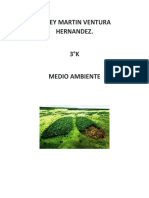 Medio ambiente y su relación con la vida humana