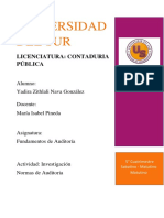 Normas de Auditoria PDF