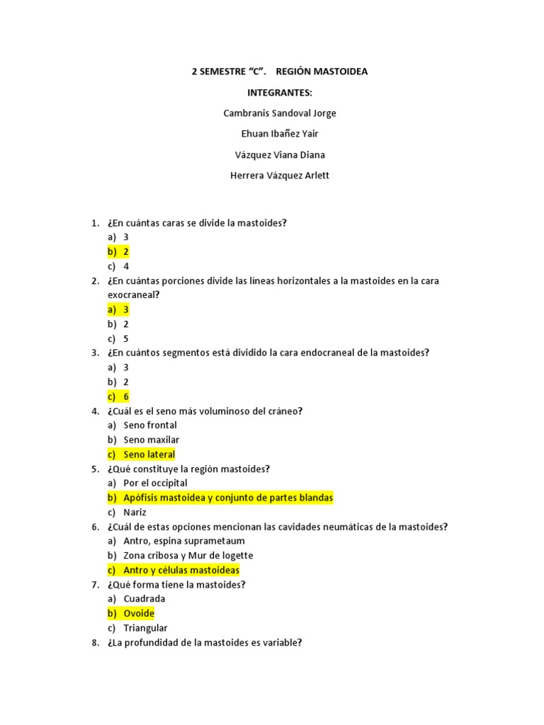 Región Mastoidea 2C | PDF