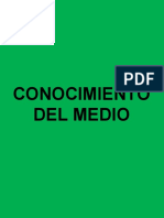 Verde PDF