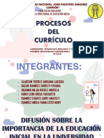 Proceso Del Curriculo PDF