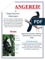 Endangered Animal Flyer (Pawi)