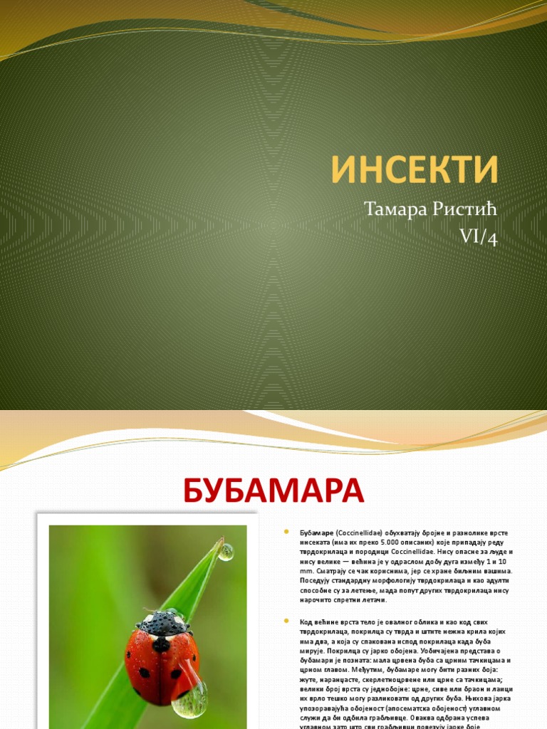 Insekti | PDF