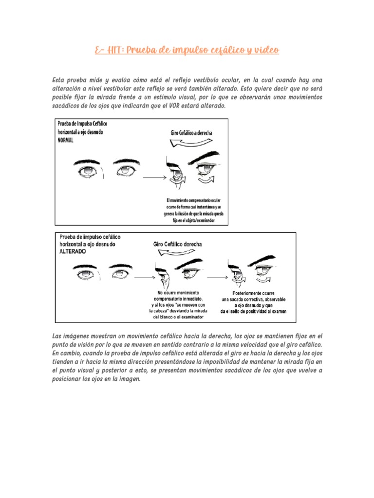 E Hit | PDF