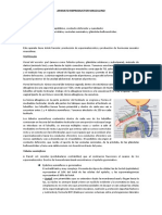 2.2) Masculino PDF