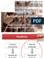 002 Avicultura Manejo Poedeiras PDF