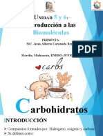 Introducción a las biomoléculas: carbohidratos y proteínas