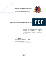 Relatório Bacia Do Rio Suaçuí Grande PDF