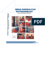 Bombas Hidr (Aulicas Rotodin (Amicas PDF