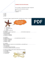 Evaluación - Animales Sin Patas Articuladas