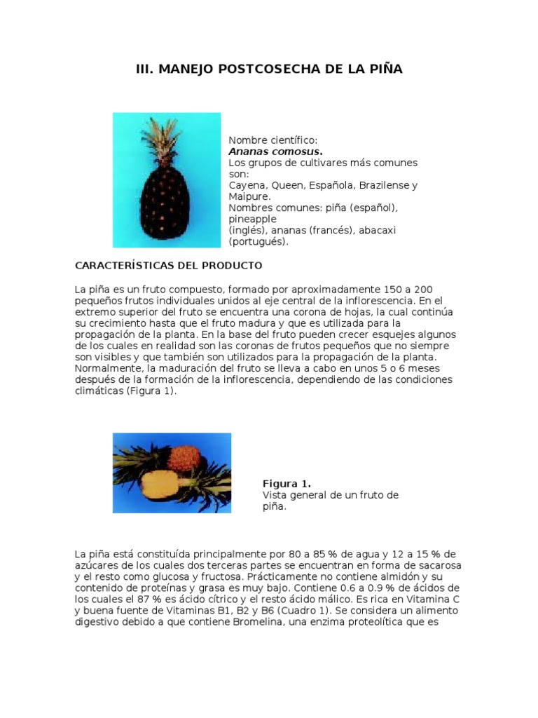 Manejo Poscosecha de La Piña FAO | PDF | Piña | Fruta
