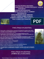 Evidencia Integradora"organismos Útiles para El Hombre" PDF