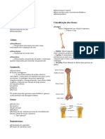 Anatomia Sistema Esquelético Aula 2.odt