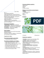 Algas: organismos aquáticos primários