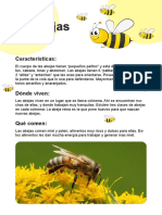 Insectos PDF