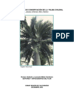 PNC Palma Chilena, CONAF 2005 PDF