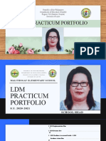 LDM PrACTICUM PORTFOLIO