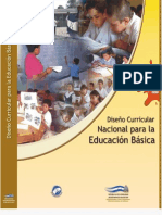 Diseño Curricular Nacional