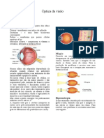 Defeitos da visão e suas correções