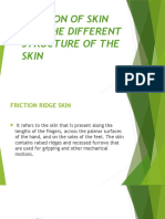 Friction of Skin and The Different Structure of The Skin