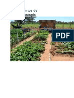 Fundamentos de La Agroecología