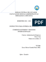 Dca4-Instructivo Trabajos - Comercio Exterior PDF
