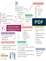 Mapa - Aula 2 - Como Funcionam Os Processos Seletivos PDF