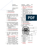 Sistem Pencernaan Manusia