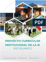 PCI - RIO BLANCO (2).docx