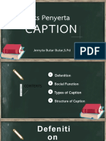 CAPTION-WPS Office