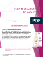 Técnicas de masaje para el sistema endocrino