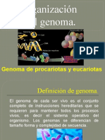 Organización Del Genoma