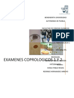 EXAMENES COPROLOGICOS 1 Y 2 Sin Esquema