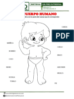 Sesion 1 Cuerpo Humano PDF
