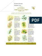 Mi Infografia Soy El Alunno Veramendi Demata Hans Ronal Desarrollo Personal Ciudadania Y Civica