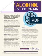 The Brain PDF