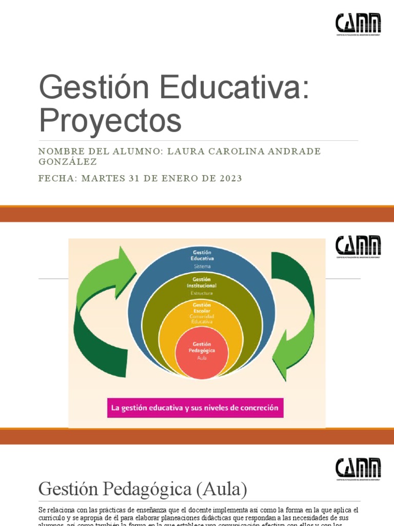 Gestión Educativa Integral y Efectiva | PDF | Plan de estudios | Enseñando