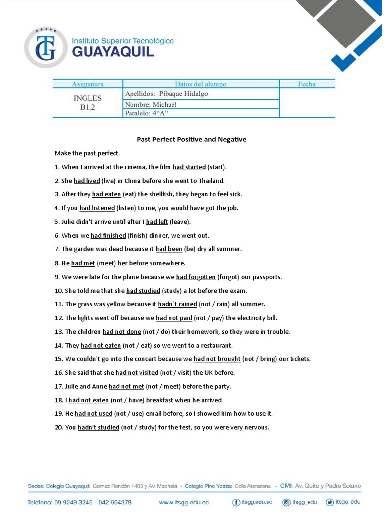 Past Perfect Tense Examples | PDF
