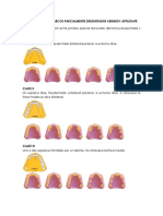 Clasificacion de Arcos Parcialmente Desdentados Kennedy-Applegate