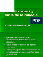 Paramixovirus y Virus de La Rubéola