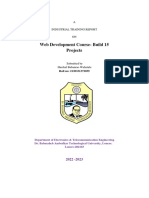 Web Development Report PDF 2 PDF