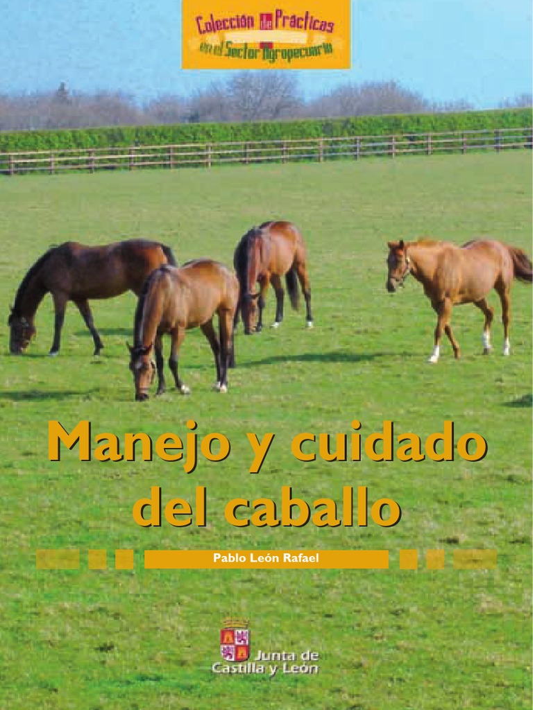 Manejo y Cuidado Del Caballo Manejo y Cu PDF | PDF
