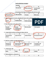 A PDF